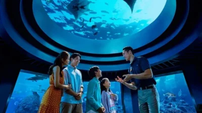 Ngintip Kehidupan Kuda Laut dari Dekat? Ini Tur Eksklusif di Singapore Oceanarium!
