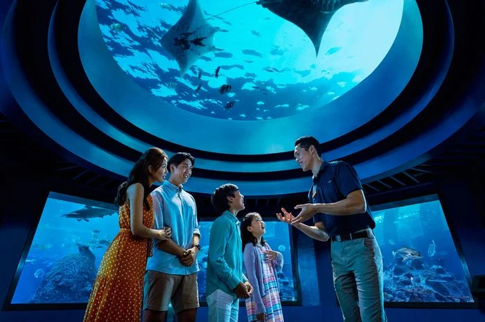 Ngintip Kehidupan Kuda Laut dari Dekat? Ini Tur Eksklusif di Singapore Oceanarium!