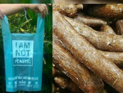 Pabrik di Tangerang Kembangkan Kantong Plastik Ramah Lingkungan Berbahan Singkong