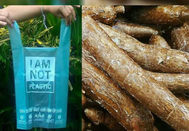 Pabrik di Tangerang Kembangkan Kantong Plastik Ramah Lingkungan Berbahan Singkong