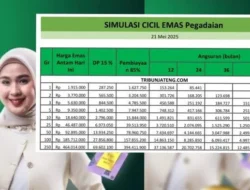 Pegadaian Sumbagsel: Minat Investasi Tabungan Emas dan Cicil Emas Terus Meningkat
