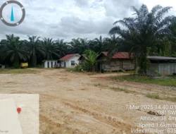 Perusahaan Jakarta Kuasai Ratusan Hektare Hutan Bowosie, Rencanakan Golf dan Tukar Guling dengan Lahan di Ngada