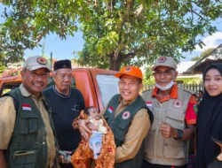 Petugas Pemadam Tewas Usai Memadamkan Kebakaran Besar di Sumbawa, 14 Korban Selamat