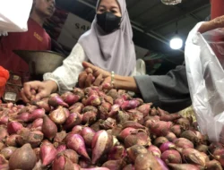 PT TSM Subsidi Harga Bawang Merah Rp 10 Ribu/Kg dalam Operasi Pasar Murah di Sumsel