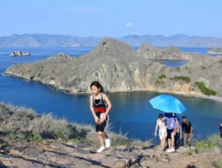 Puluhan Wisatawan Gagal ke Puncak Padar, Pemandu Wisata Bersitegang dengan Petugas BTNK