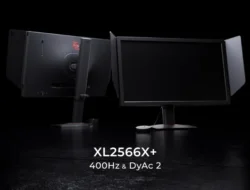 RRQ Gandeng Zowie sebagai Partner Monitor Esports, Gunakan XL2566X+ 400Hz