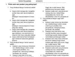 Sulit Kalau Menunggu Pemerintah, Kata Kadis Lingkungan Hidup Manggarai Barat Soal Penanganan Sampah di Pinggiran Labuan Bajo