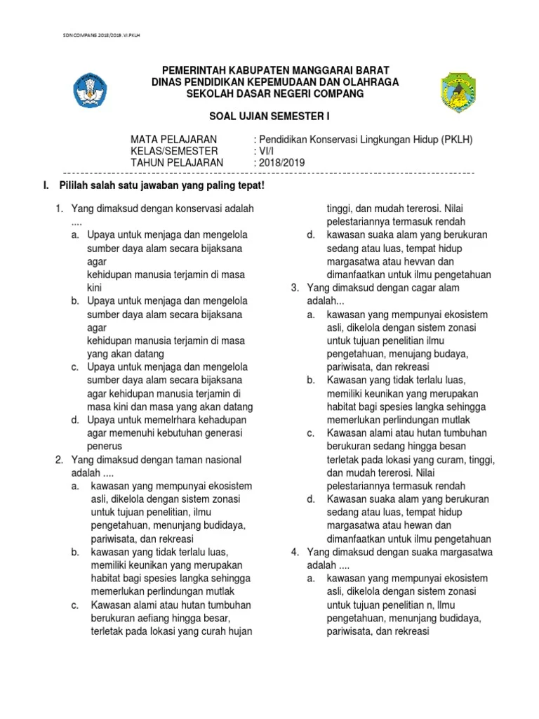 Sulit Kalau Menunggu Pemerintah, Kata Kadis Lingkungan Hidup Manggarai Barat Soal Penanganan Sampah di Pinggiran Labuan Bajo