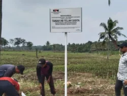 Tanah Terlantar Bisa Disita Negara, Aturan dan Cara Menghindarinya