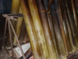 Tradisi Lemang Selangor, Kuliner Bambu yang Tak Tergantikan Saat Lebaran