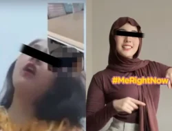 Video Viral Bikin Geger: Dari Penyelamatan di Laut Dalam hingga Kegaduhan Selebgram dan Roti Unik di Dapur
