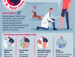 Waspada! 4 Risiko Kesehatan Mengejutkan Saat Anjing Menjilat Wajah Anda