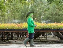 APP Sinarmas Bergabung dengan Forest Positive Coalition, Komitmen Hapus Deforestasi
