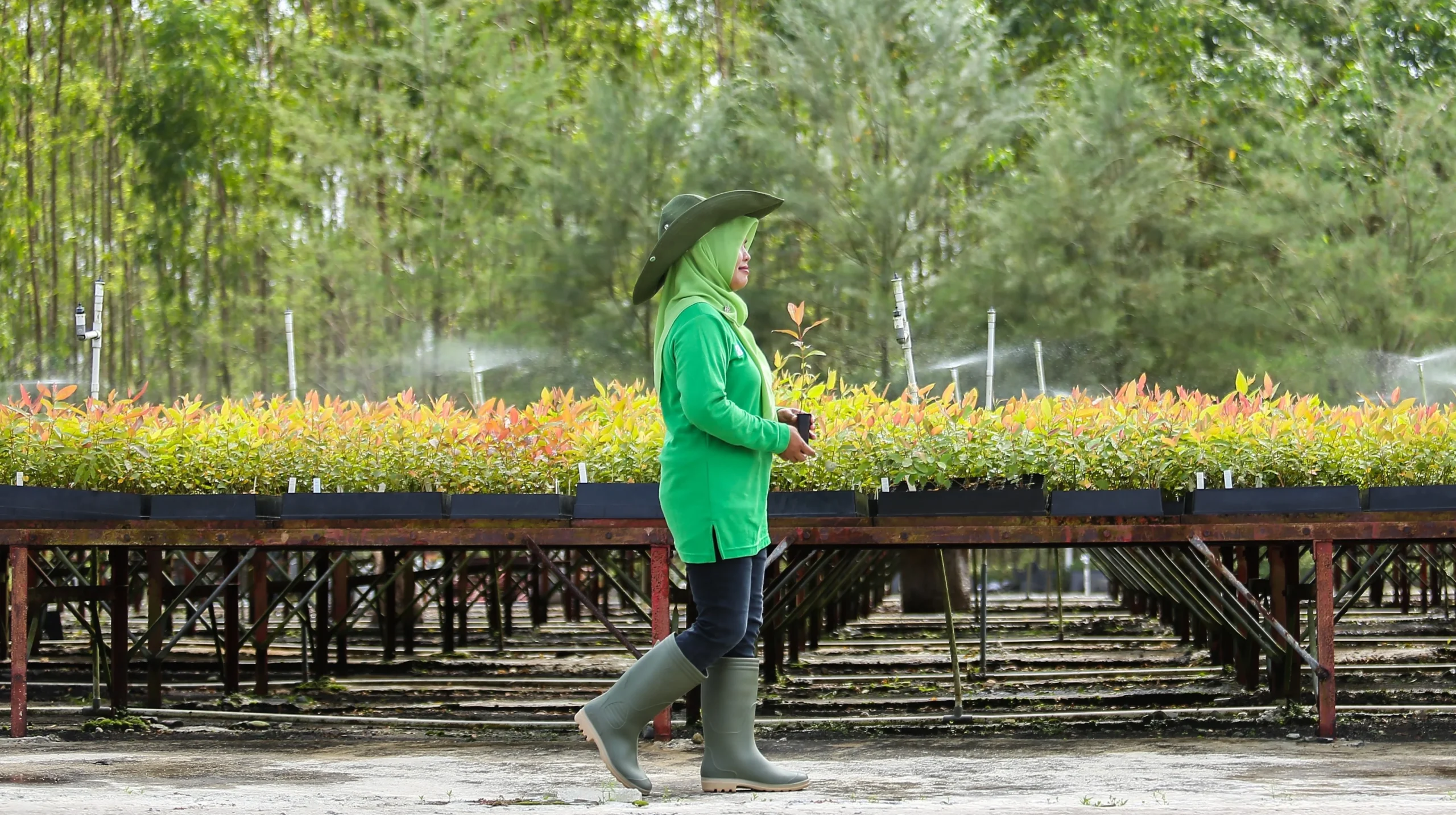 APP Sinarmas Bergabung dengan Forest Positive Coalition, Komitmen Hapus Deforestasi