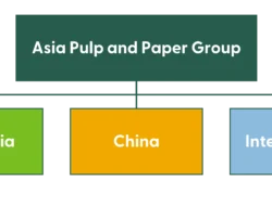 Asia Pulp & Paper Group: Menghubungkan Dunia Melalui Kertas dan Inovasi