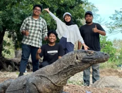 Ata Modo Protes Rencana Pengembangbiakan Komodo di Jepang