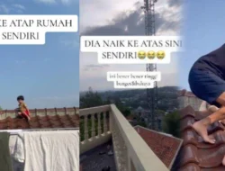 Balita Atap Lombok: Kejadian Viral Balita 2 Tahun Naik Atap Rumah, Keluarga Panik