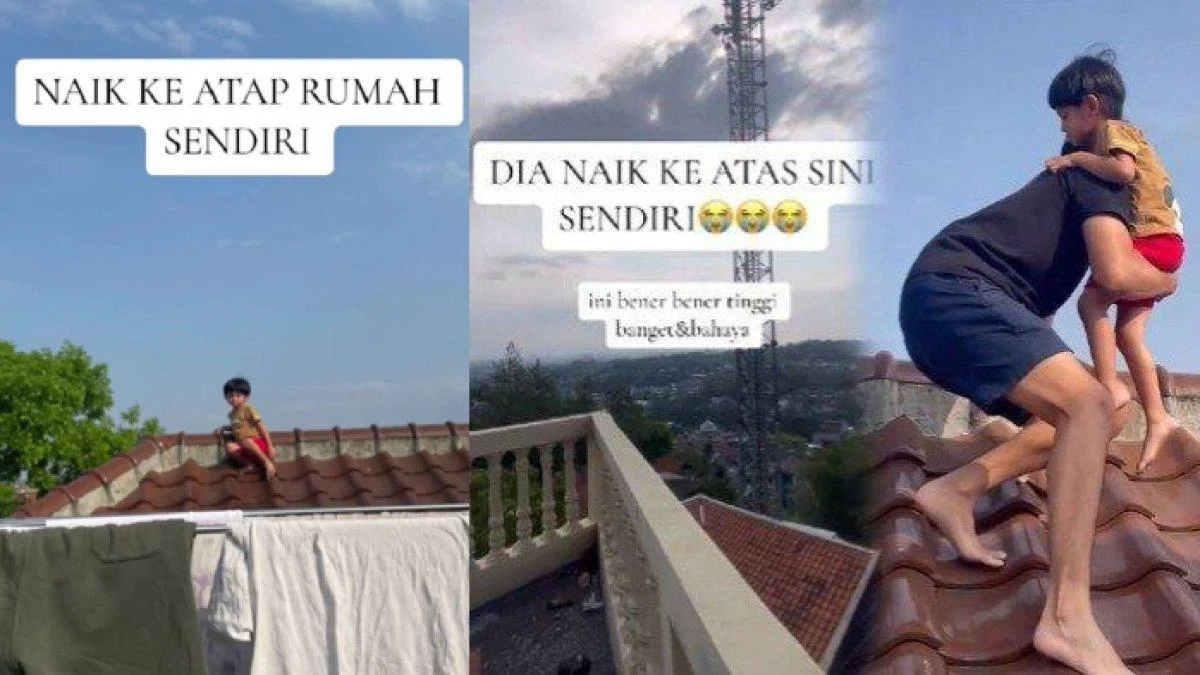 Balita Atap Lombok: Kejadian Viral Balita 2 Tahun Naik Atap Rumah, Keluarga Panik