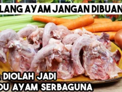 Battle Kaldu Ayam vs Chicken Broth: Serupa tapi Tak Sama, Jangan Sampai Salah Masukkan!
