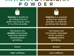 Battle of the Teas: Matcha vs Hojicha dan Hal Ini yang Bikin Mereka Beda Banget