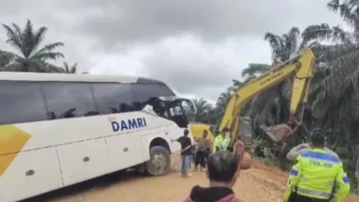 Bus Damri Terguling di Sanggau, 28 Penumpang Luka Akibat Nanjak Curam
