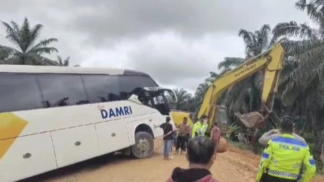 Bus Damri Terguling di Sanggau, 28 Penumpang Luka Akibat Nanjak Curam