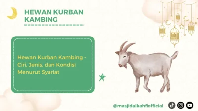 Ciri-Ciri Kambing Kurban yang Tepat Sesuai Sunnah, Persiapan Idul Adha 2026