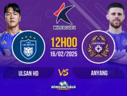 Drama 1-1 Antara FC Anyang vs Ulsan HD: Poin Berharga yang Menipiskan Jarak ke FC Seoul