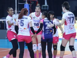 Drama Final Four Proliga 2026: LavAni vs Samator & Phonska Plus vs Electric PLN Siap Pecahkan Rekor!