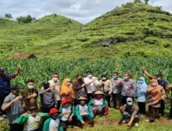 Dulu Tak Punya Arah, Kini Petani Punk Gunung Kidul Bangun Masa Depan dari Sawah
