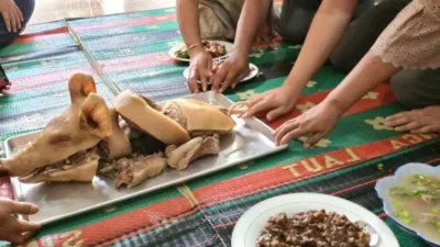 Ekspansi Proyek Penjajahan dalam Dokumenter “Pesta Babi” dan Pola Serupa di Flores