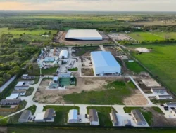 Elon Musk Ungkap Rencana Besar: Pabrik Chip "Terafab" di Texas Siap Guncang Industri AI