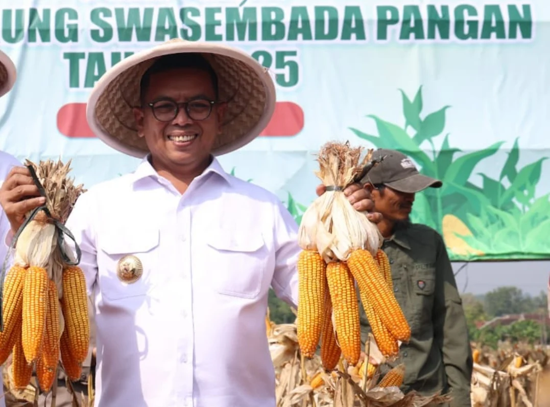 Gubernur Andra Soni Luncurkan Gerakan Tanam Jagung untuk Ketahanan Pangan di Banten