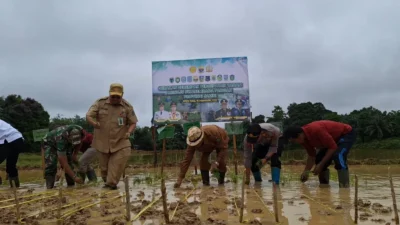 Hadapi Ancaman Iklim, Danrem 044/Gapo Dukung Percepatan Tanam di Sektor Pertanian