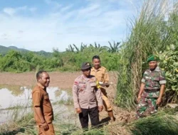 Hakim Vonis Bebas Petani Manggarai Timur yang Dituduh Merambah TWA Ruteng