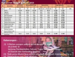 Harga Bahan Pokok Turun Pasca Lebaran 2026, Minyakita Catat Penurunan Signifikan, Mendag dan Menko Pangan Optimis Daya Beli Masyarakat Meningkat