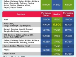 Harga BBM Pertamina Hari Ini di Seluruh SPBU dan Pertashop, Pertamina Dex Tembus Rp23 Ribuan
