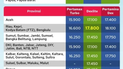 Harga BBM Pertamina Tidak Naik, Masyarakat Diminta Hindari Panic Buying