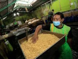 Harga Kedelai dan Plastik Melejit, Pengusaha Tempe di Lebak Pilih Perkecil Ukuran Demi Bertahan