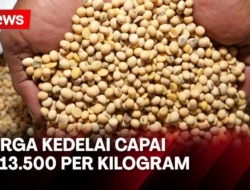 Harga Kedelai Melonjak, Perajin Tahu Naikkan Harga