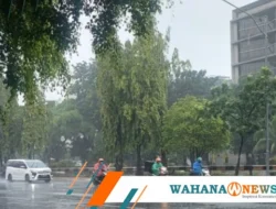 Hujan Ringan Guyur Seluruh Wilayah DKI Jakarta, Suhu Berkisar 24–31°C