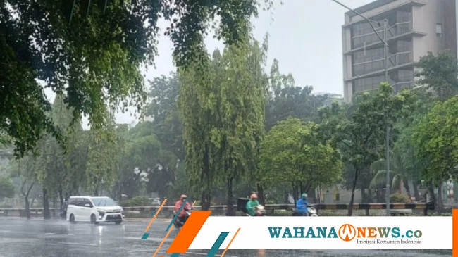 Hujan Ringan Guyur Seluruh Wilayah DKI Jakarta, Suhu Berkisar 24–31°C