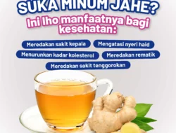 Jahe, Akar Ajaib dengan Sejuta Manfaat Kesehatan