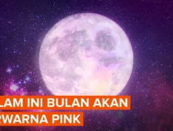 Jangan Lewatkan Fenomena Pink Moon April 2026 yang Bisa Dilihat Malam Ini