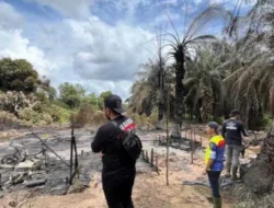 Kebakaran 11 Sumur Minyak Ilegal di Keluang Picu Sorotan Kepemilikan dan Dugaan Mafia Subsidi Solar