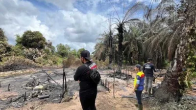 Kebakaran 11 Sumur Minyak Ilegal di Keluang Picu Sorotan Kepemilikan dan Dugaan Mafia Subsidi Solar