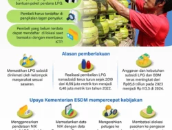 Kenaikan Harga LPG Non-Subsidi Memicu Pengawasan Ketat: Upaya Pemerintah Pastikan Subsidi Tepat Sasaran