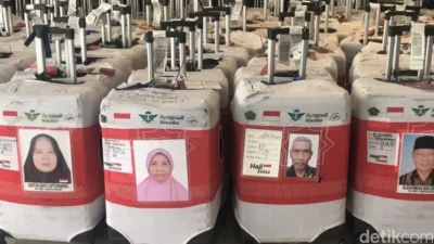 Koper Haji Tak Perlu Dikhawatirkan: Petugas Antar ke Hotel Saat Jemaah Tiba di Madinah