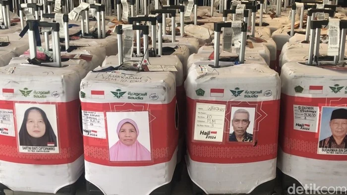 Koper Haji Tak Perlu Dikhawatirkan: Petugas Antar ke Hotel Saat Jemaah Tiba di Madinah