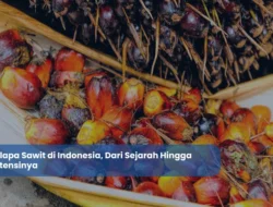 Makanan, Haji, Kelapa Sawit, dan Hiu: Empat Cerita Indonesia yang Mengguncang Dunia